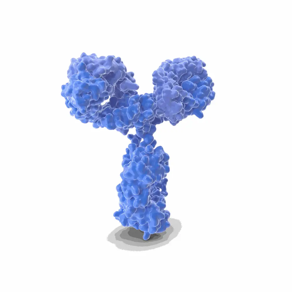 14 3 3 GAMMA Specific antibody   