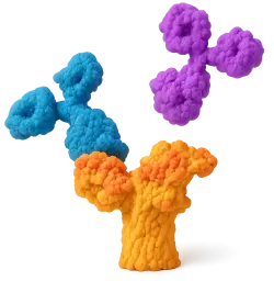  488 Rabbit anti-Human IFN-gamma mAb (100 T)