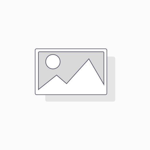  488 Rabbit anti-Human CD74 mAb (100 T)